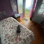 Abracaribes Bed & Breakfast