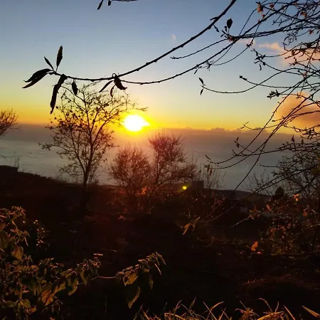 Abracaribes Oda ve Kahvaltı