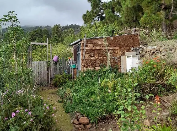 Bed & Breakfast Abracaribes