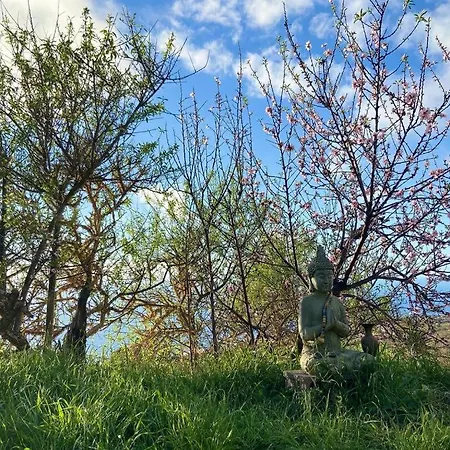 Abracaribes * La Punta