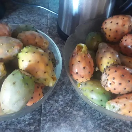 Abracaribes Bed & Breakfast *