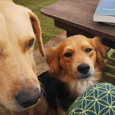 Bed & Breakfast Abracaribes