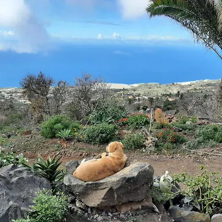 Bed & Breakfast Abracaribes *