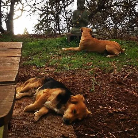 Abracaribes * La Punta