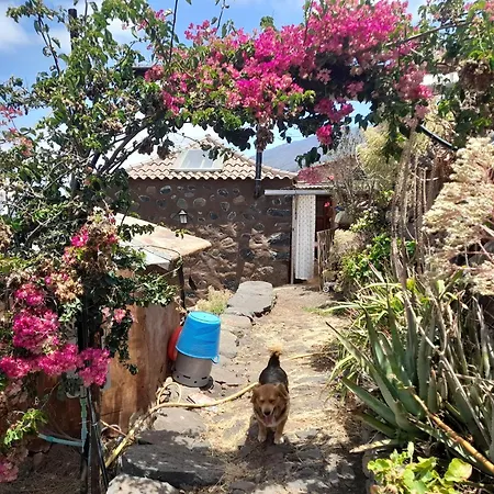 Abracaribes Bed & Breakfast