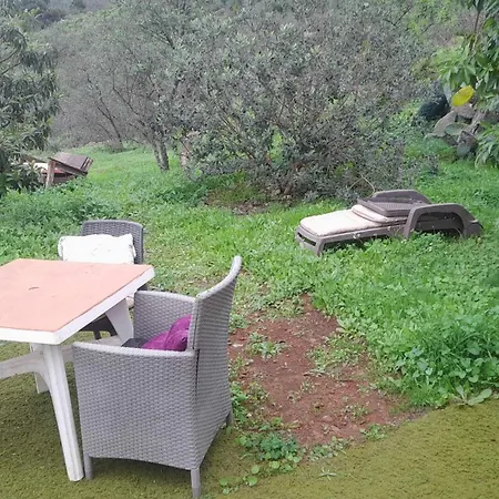 Bed & Breakfast Abracaribes *