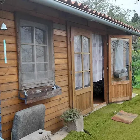 Abracaribes Bed & Breakfast Arecida