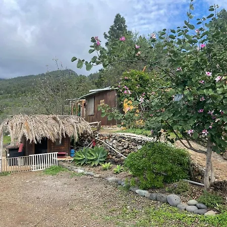 Bed & Breakfast Abracaribes Arecida