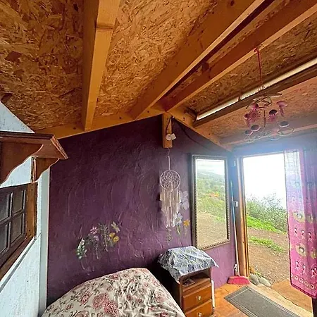 Abracaribes Bed & Breakfast La Punta